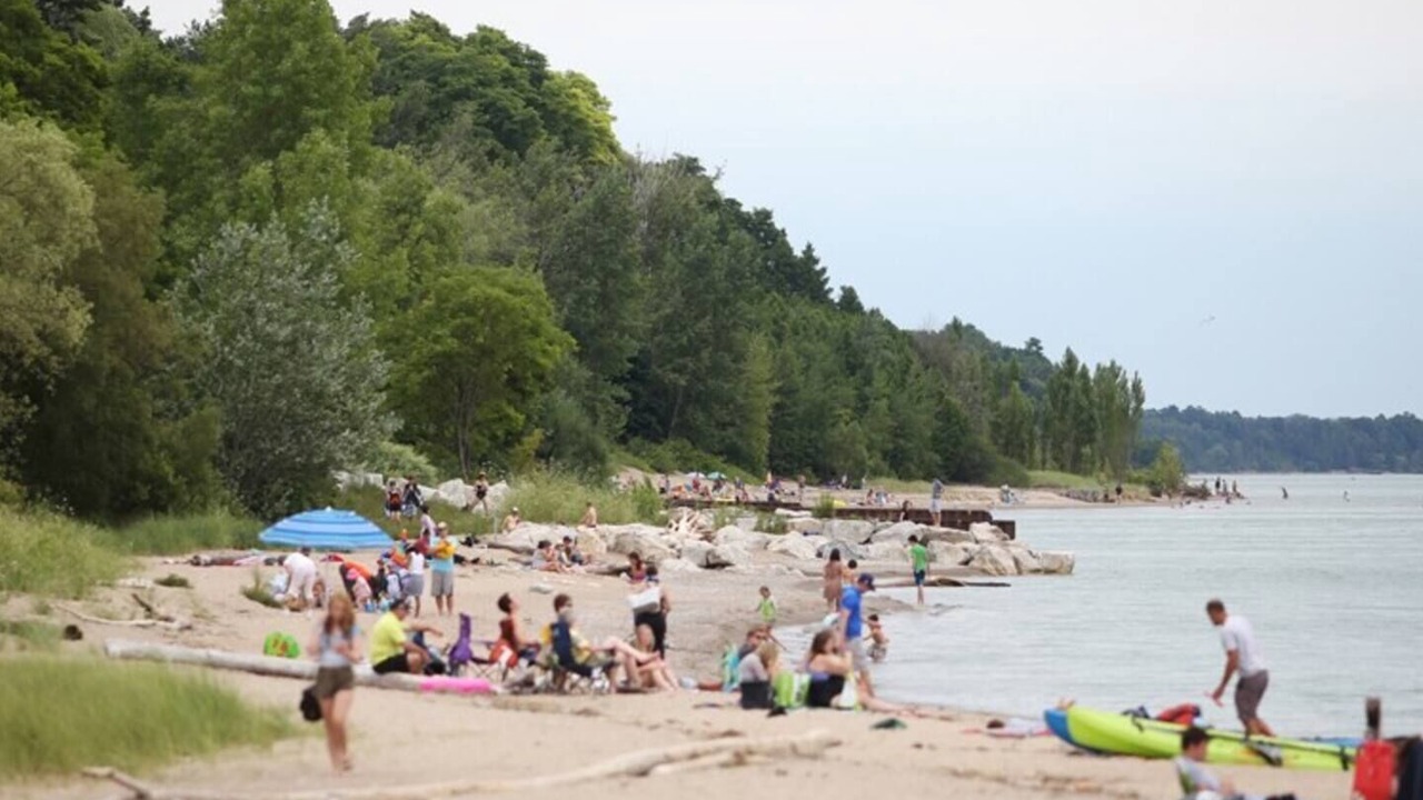 Photo of Others in Bayfield