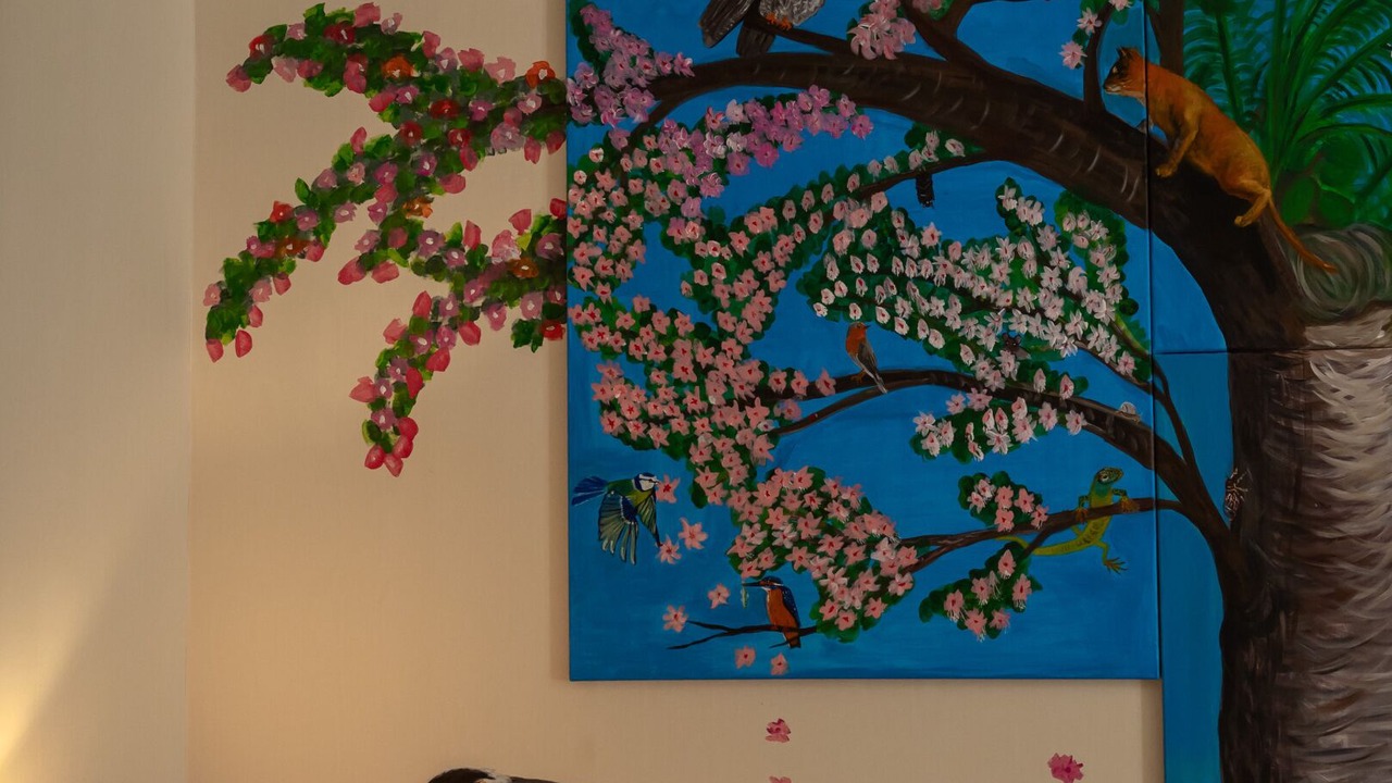 Photo of Bathroom in Albi