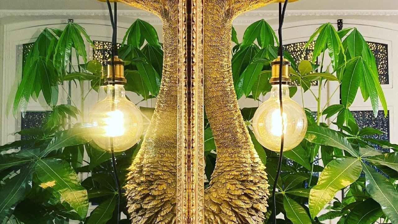 Photo of Others in Albi