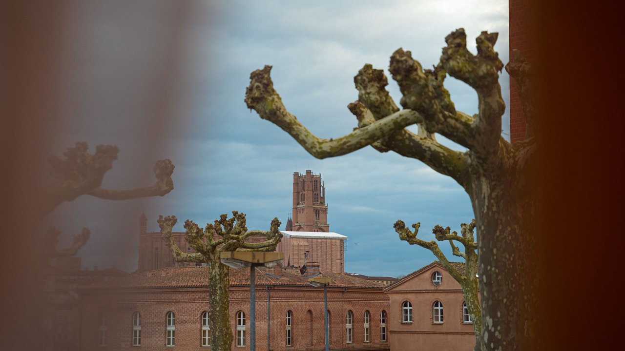 Photo of Bathroom in Albi