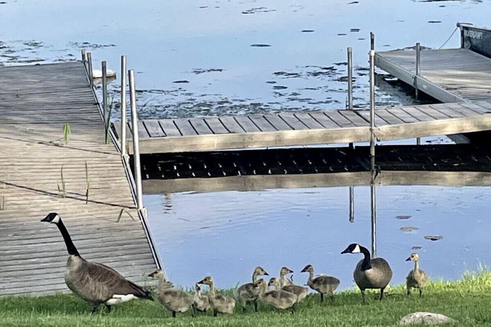 Photo of Others in Campbellford