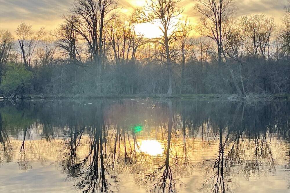 Photo of Others in Campbellford