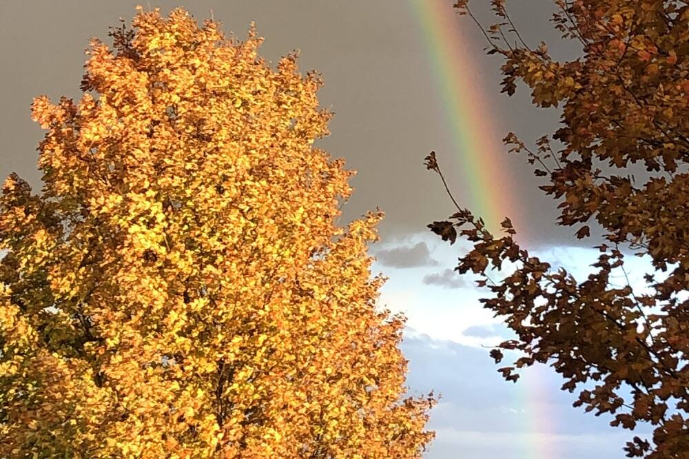Photo of Outdoor in East Jordan