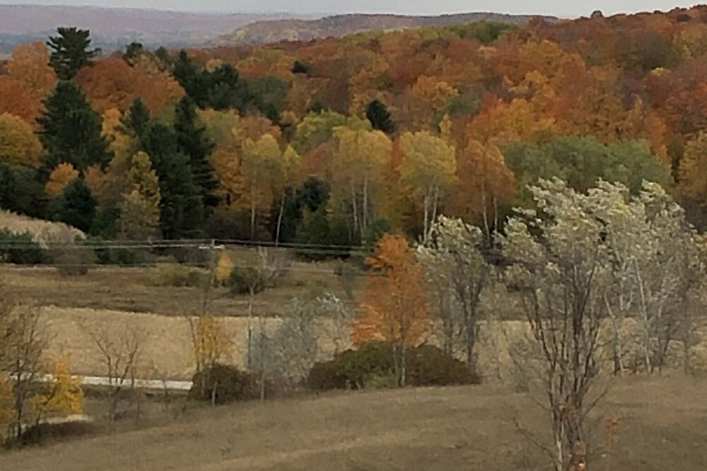 Photo of Outdoor in East Jordan