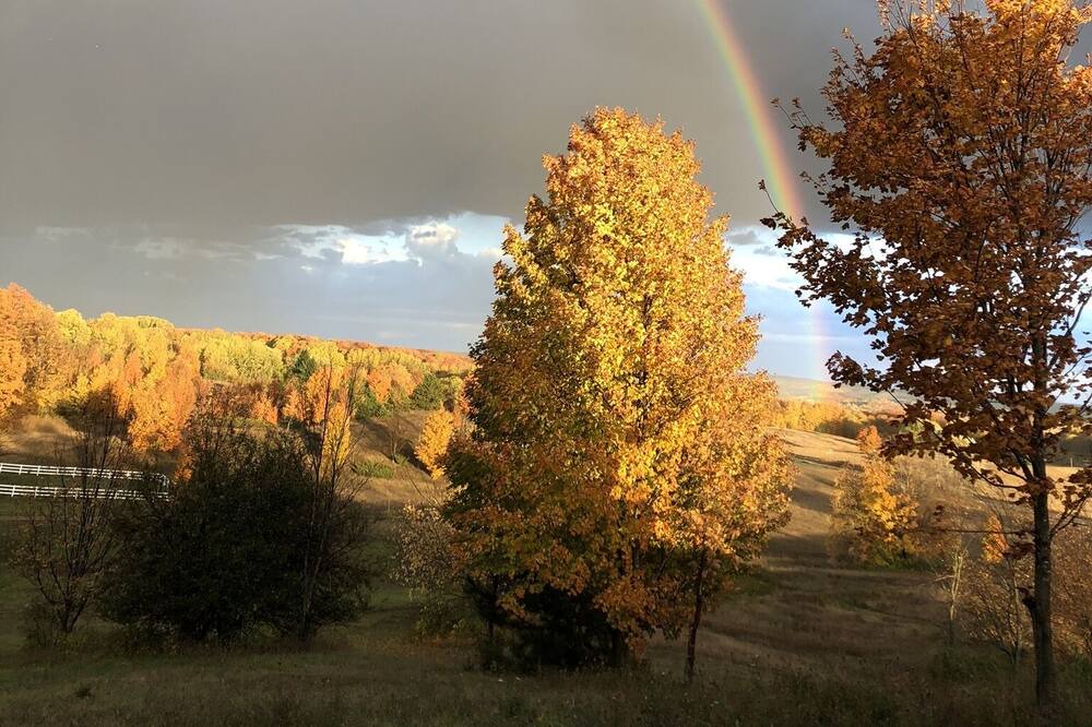 Photo of Outdoor in East Jordan