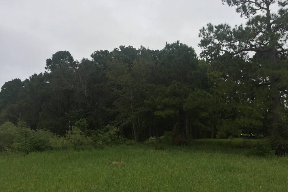Photo of Others in Anacoco
