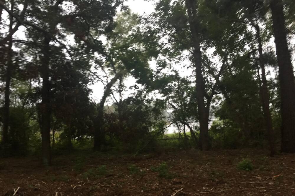 Photo of Others in Anacoco