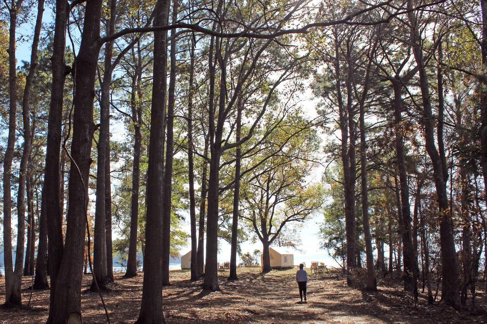 Photo of Others in Anacoco