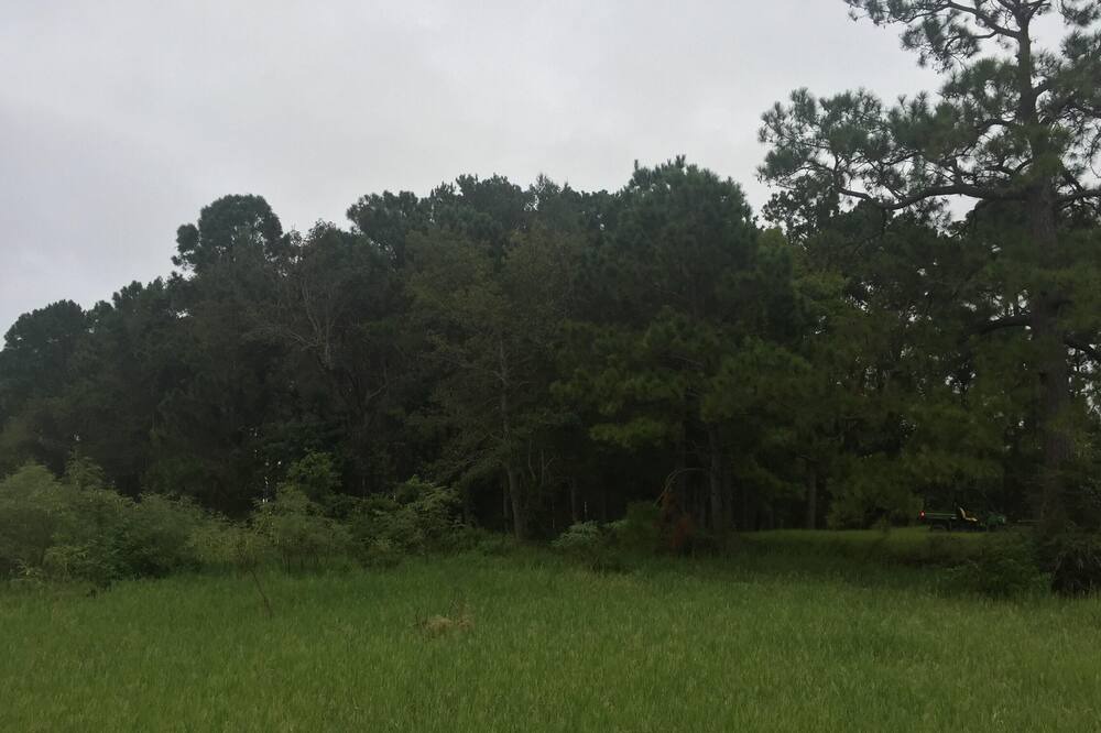 Photo of Others in Anacoco