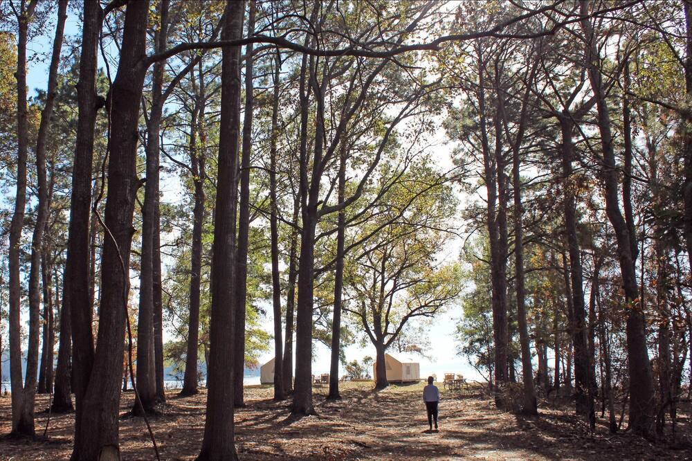 Photo of Others in Anacoco