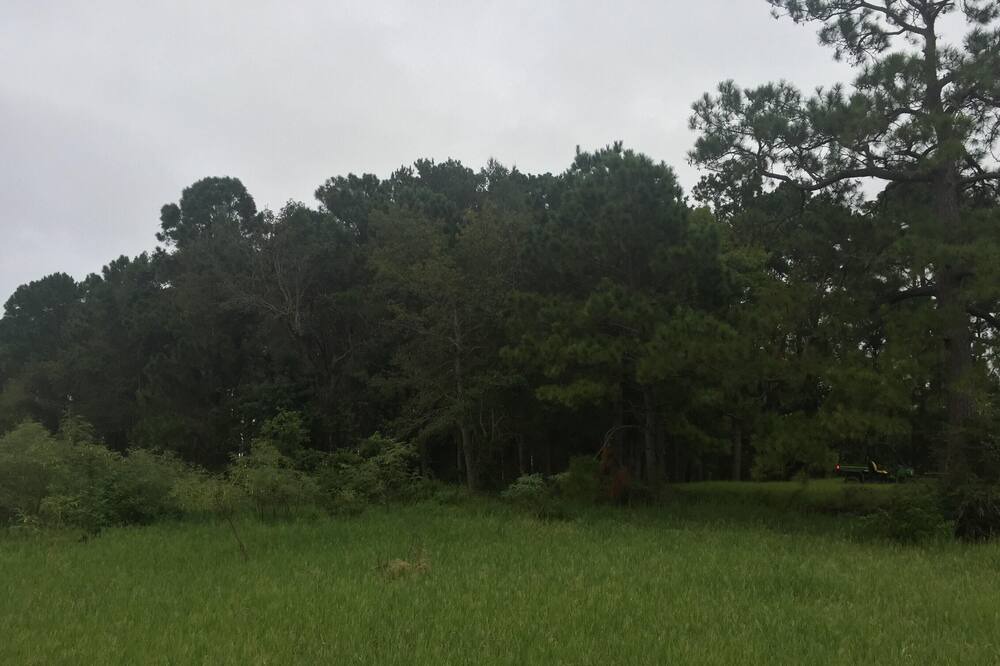Photo of Others in Anacoco