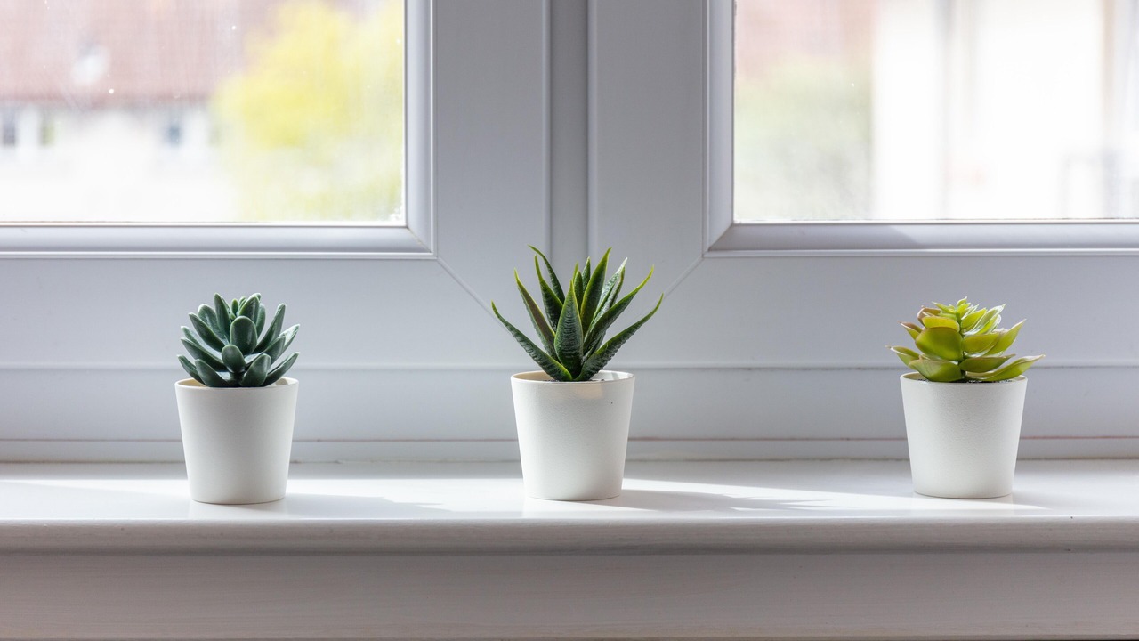 Photo of Others in Ayr