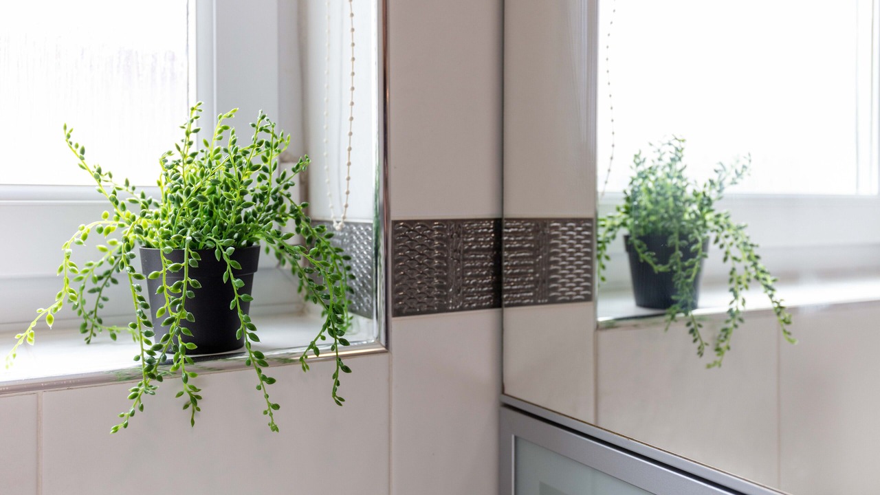 Photo of Bathroom in Ayr