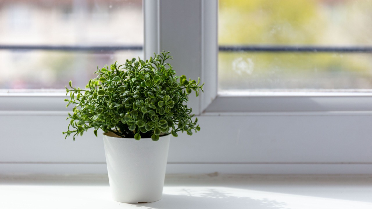 Photo of Others in Ayr