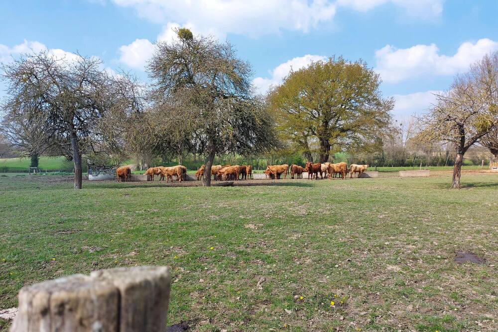 Photo of Outdoor in Cosse-le-Vivien