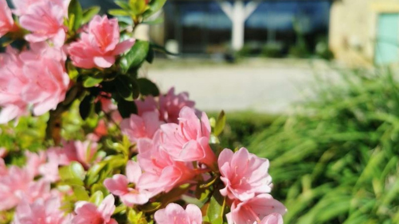 Photo of Outdoor in Limeuil