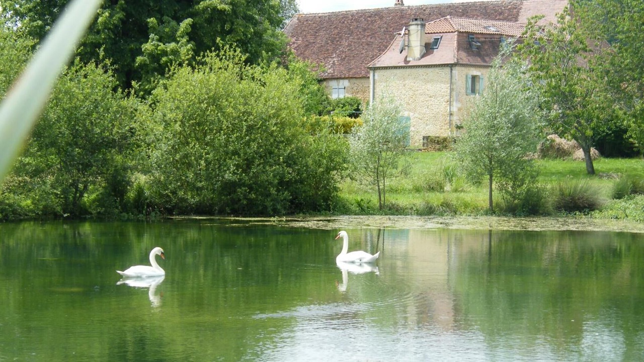 Photo of Outdoor in Limeuil
