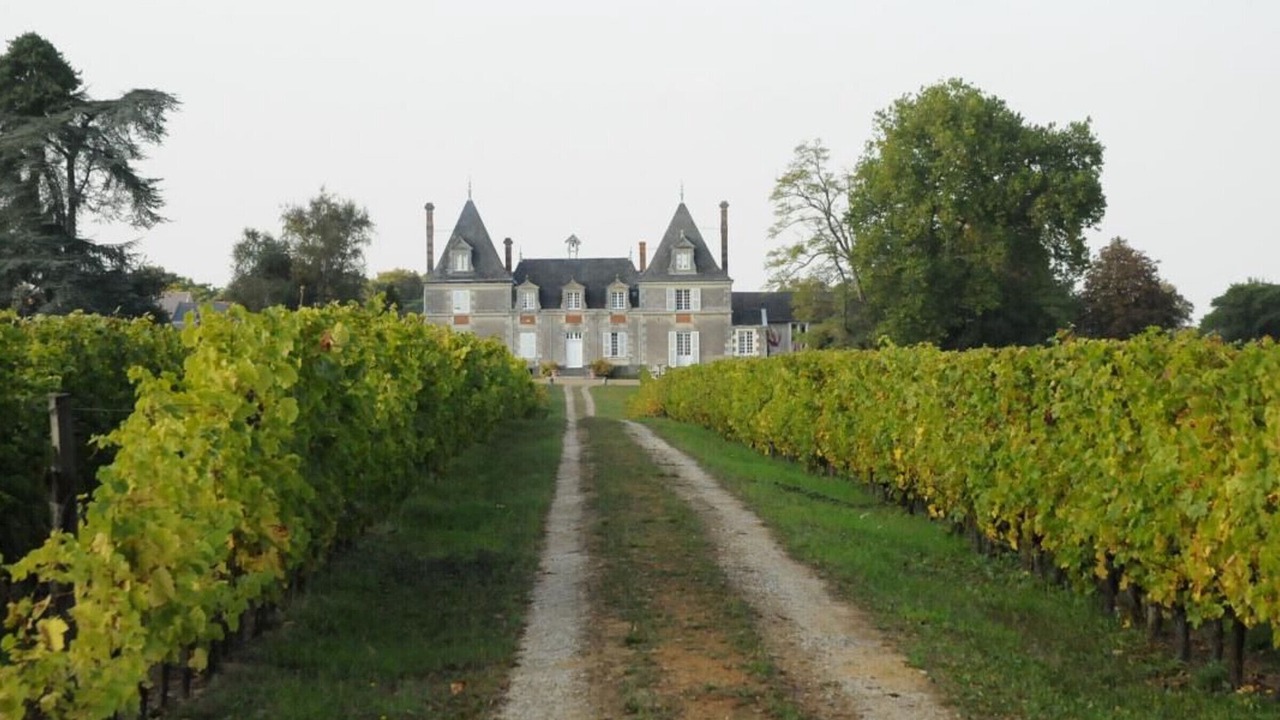 Photo of Outdoor in Blaison-Saint-Sulpice