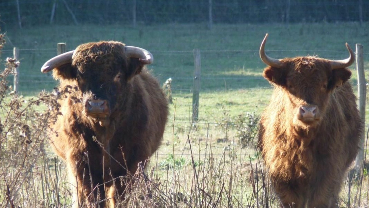 Photo of Others in Blaison-Saint-Sulpice