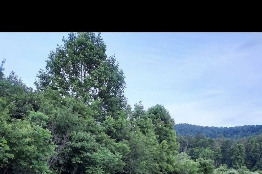 Photo of Others in Penrose
