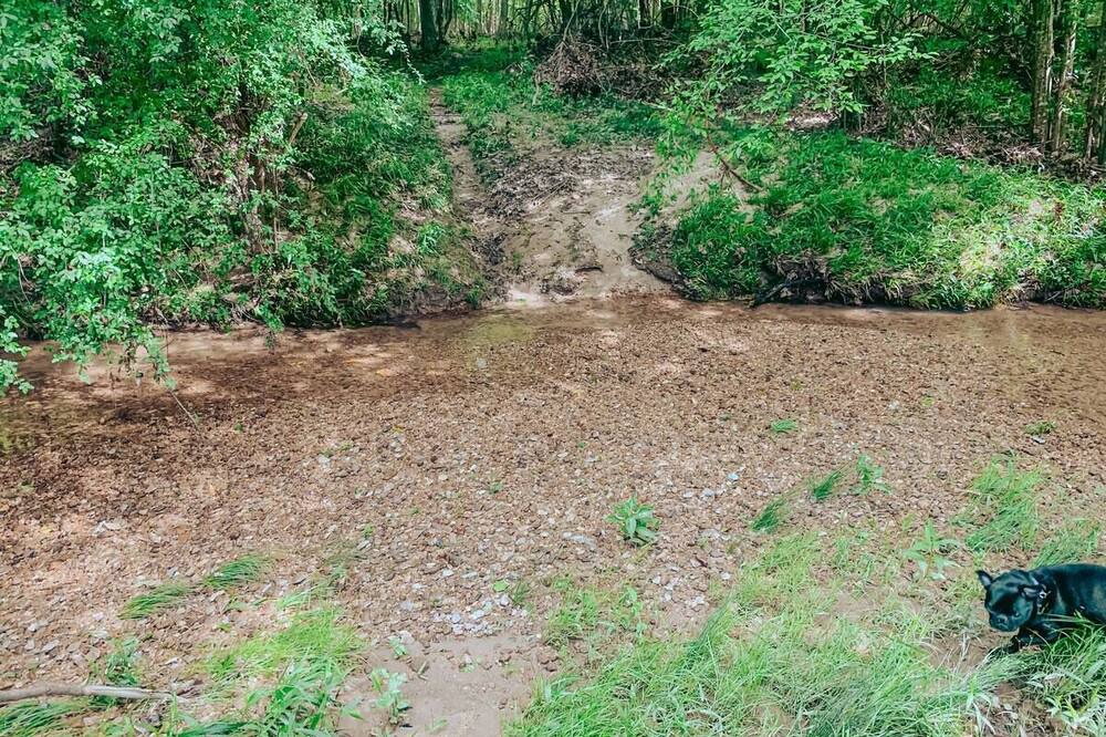 Photo of Others in McCall Creek