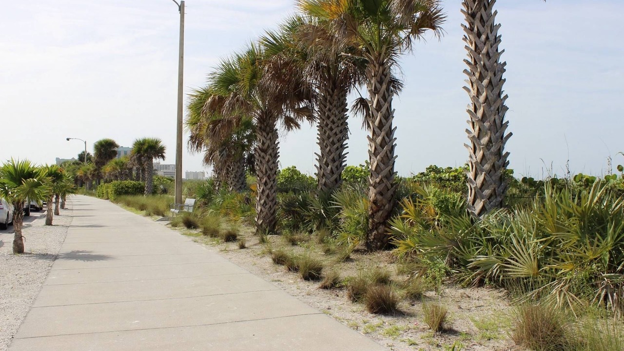 Photo of Others in Sarasota