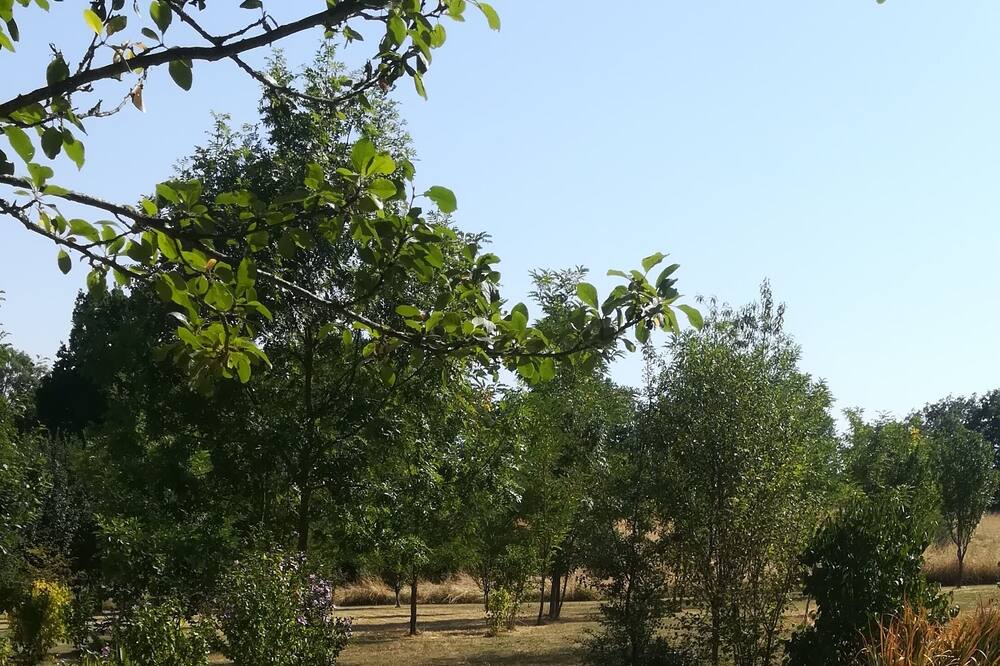 Photo of Outdoor in Villeneuve d'Aveyron
