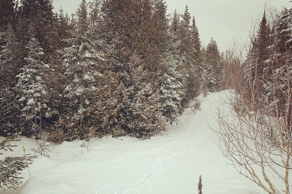 Photo of Others in Northern Bruce Peninsula