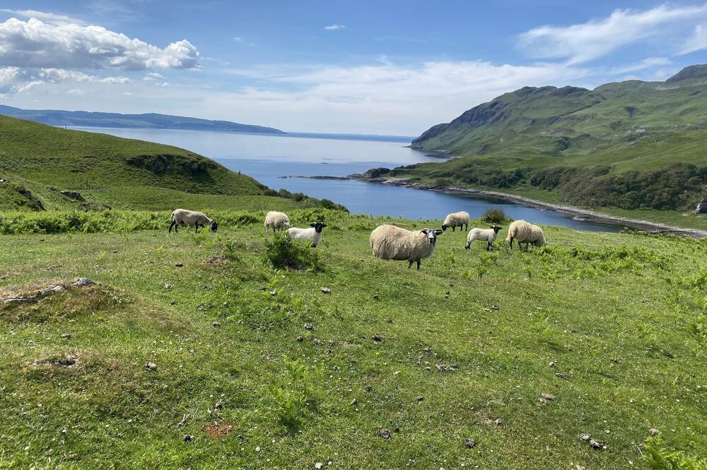 Photo of Others in Salen