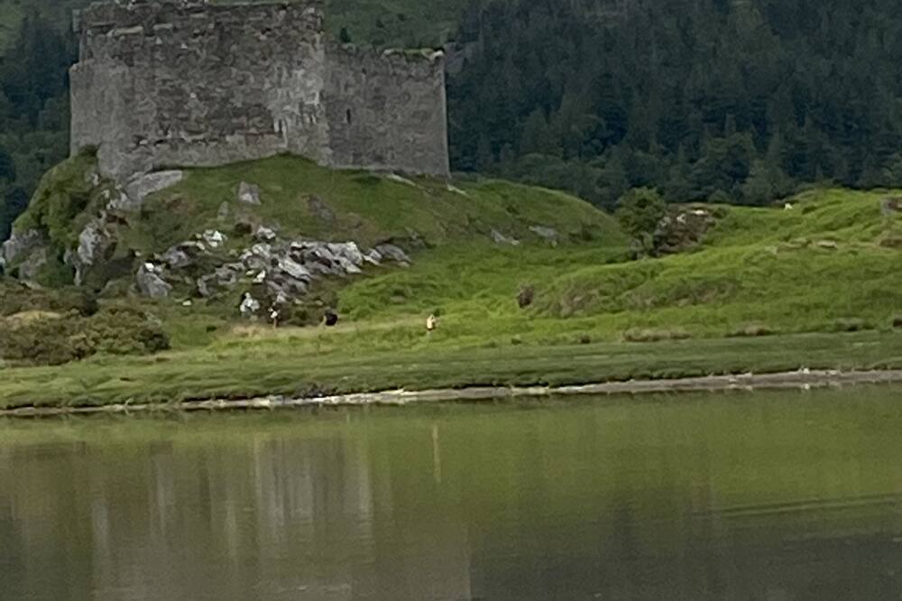 Photo of Others in Salen