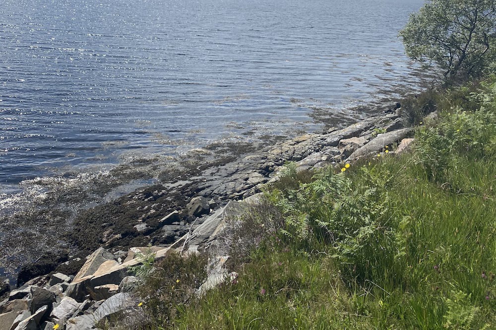 Photo of Others in Salen