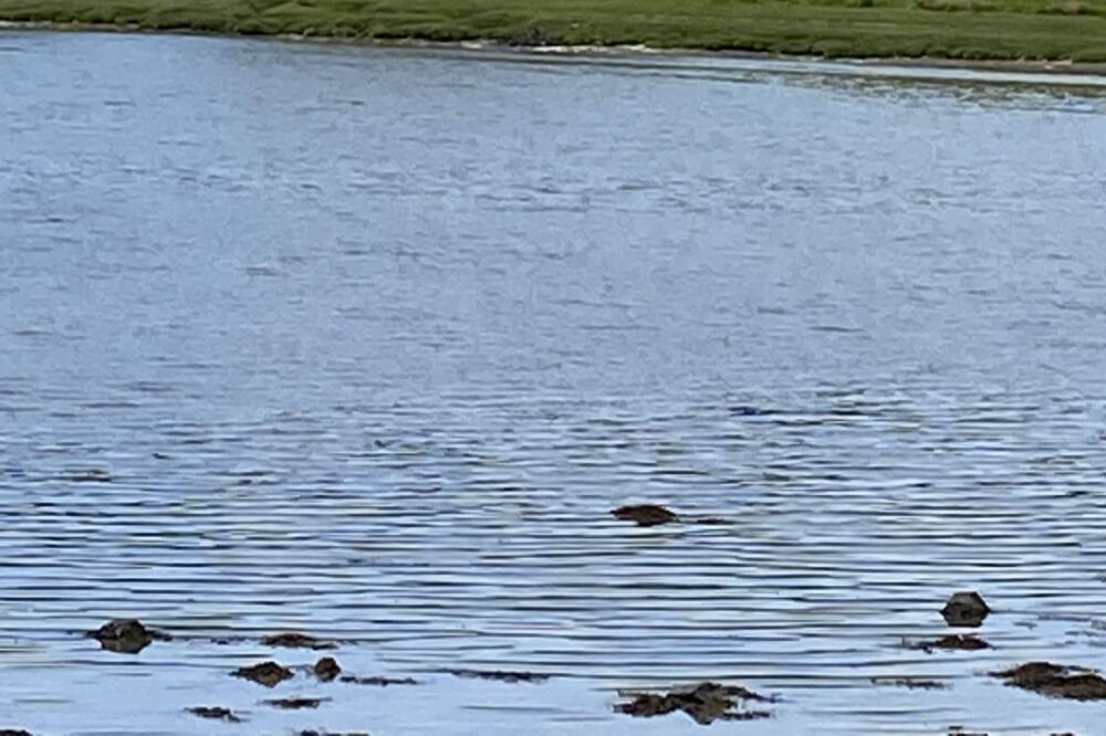 Photo of Others in Salen