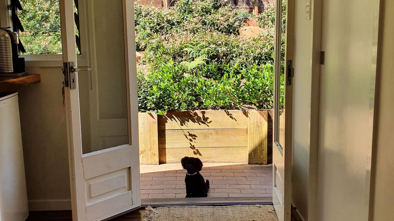 Photo of Others in Eagle Heights