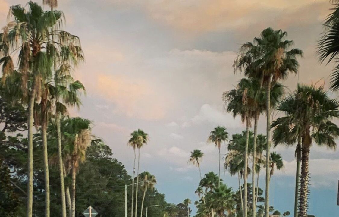 Photo of Outdoor in Downtown Dunedin