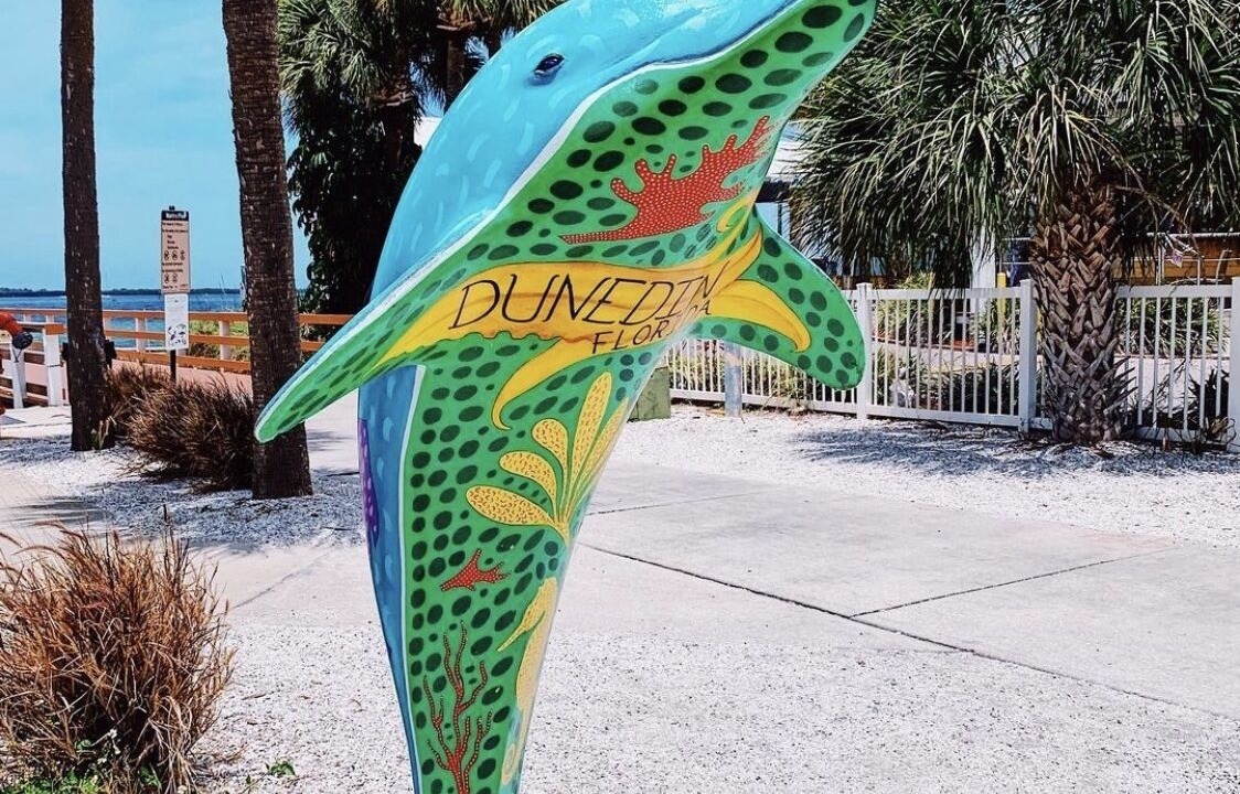 Photo of Outdoor in Downtown Dunedin