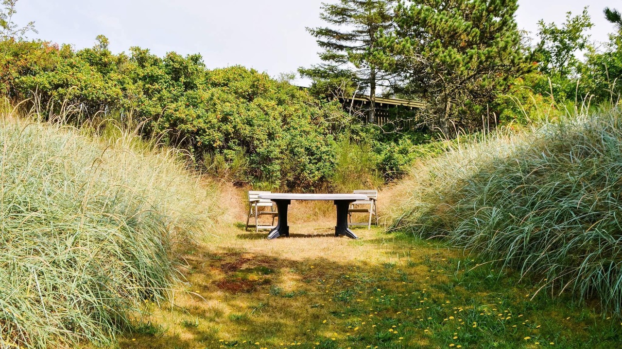 Photo of Outdoor in Blokhus