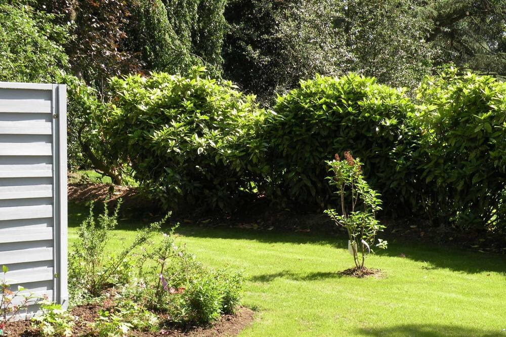 Photo of Outdoor in Sainghin-en-Melantois