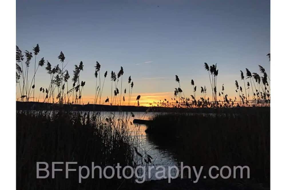 Photo of Others in Piermont