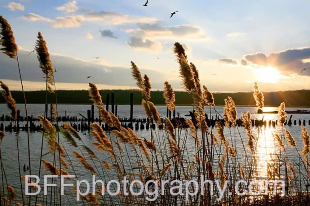 Photo of Others in Piermont