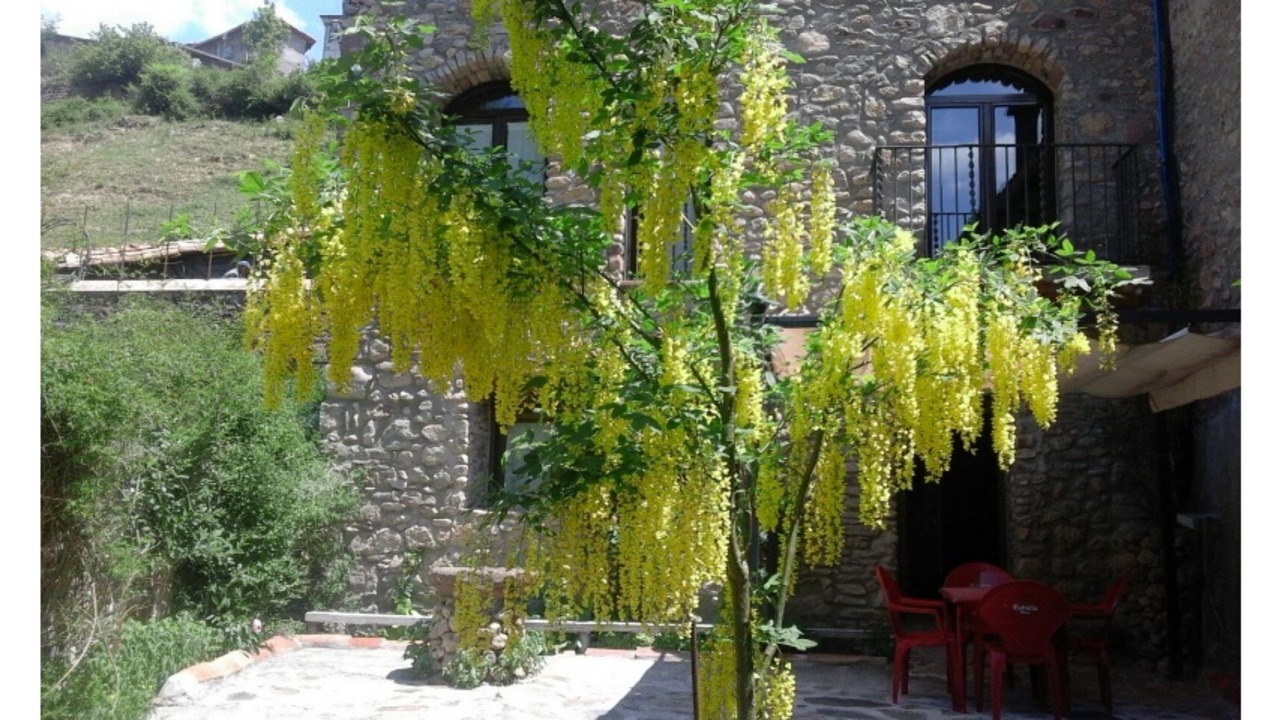 Photo of Outdoor in Les Iglesies