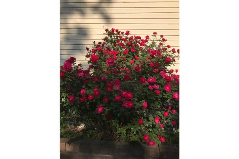 Photo of Outdoor in Central Nyack