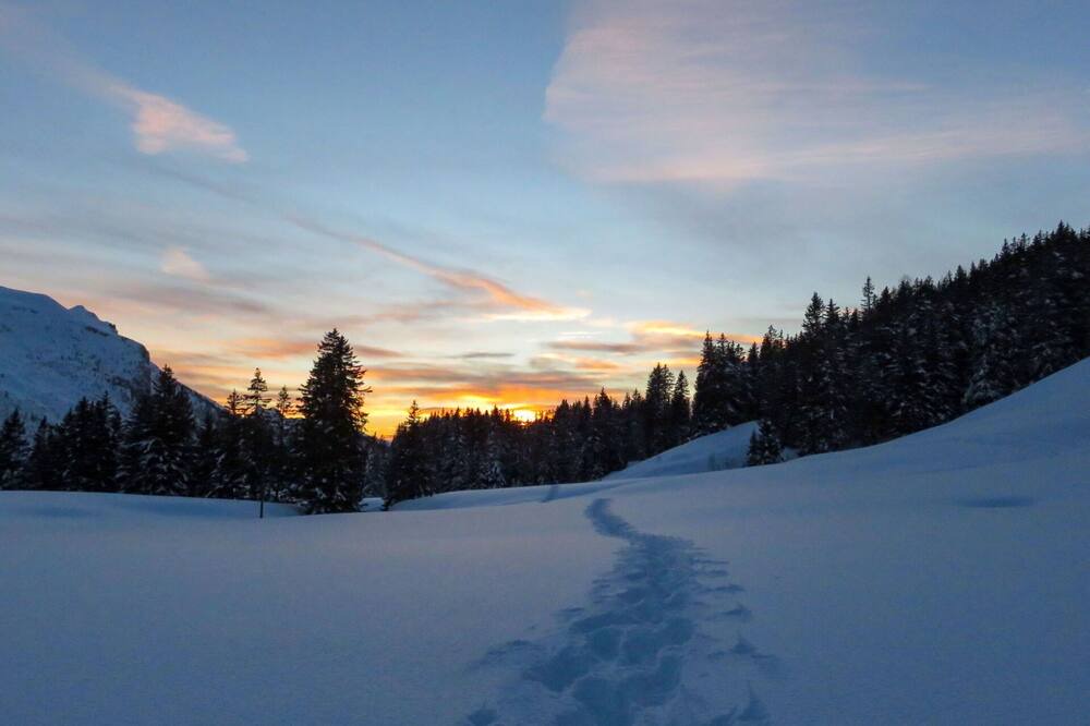 Photo of Others in Ormont-Dessus