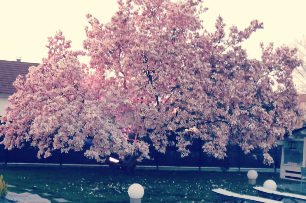 Photo of Outdoor in Ensisheim