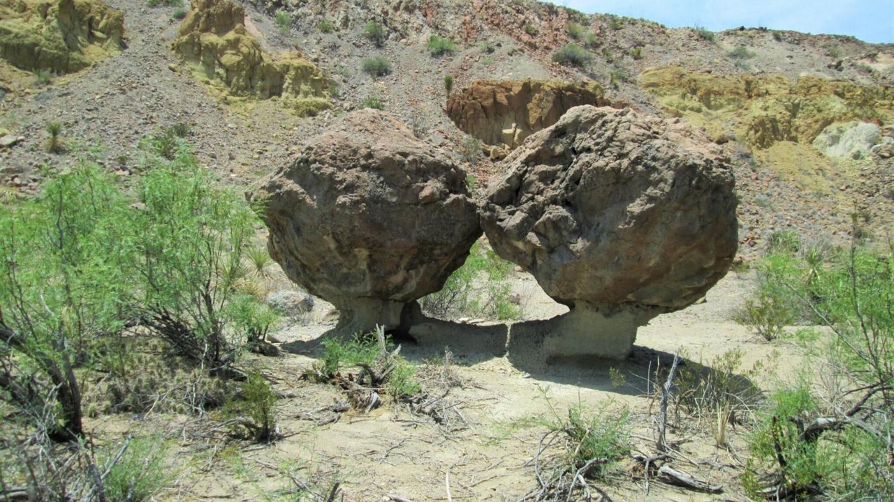 Photo of Outdoor in Alpine