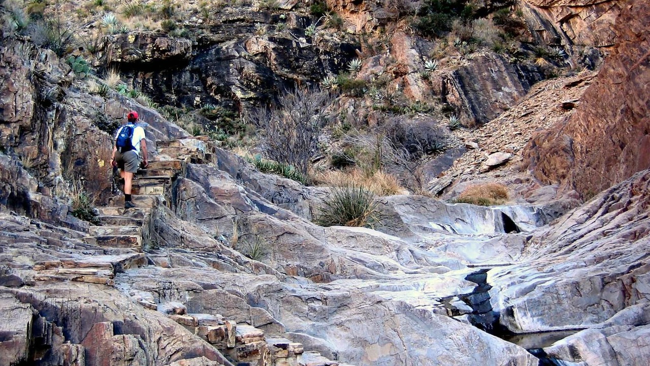 Photo of Outdoor in Alpine