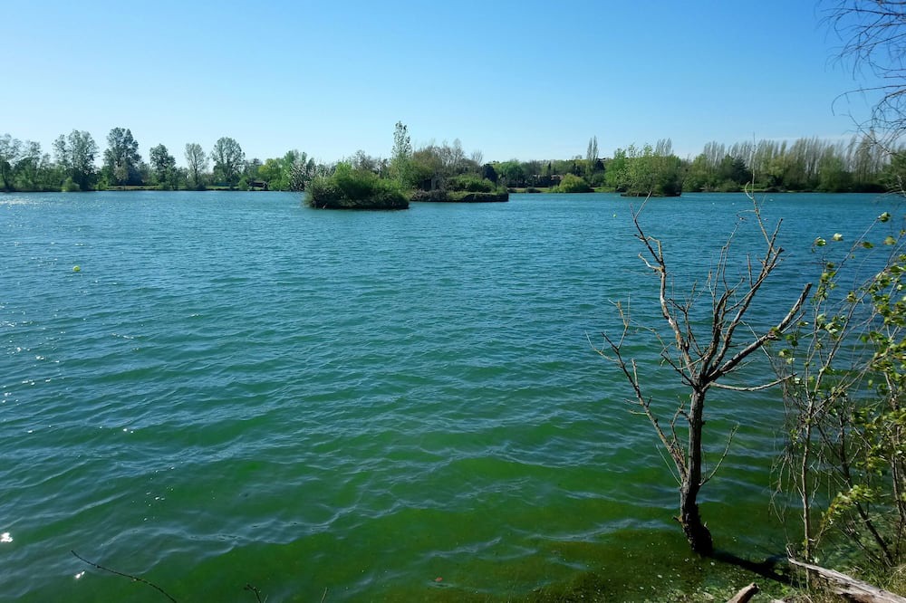 Photo of Others in Grenade-sur-Garonne