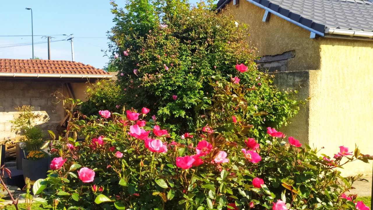 Photo of Outdoor in Mazerny