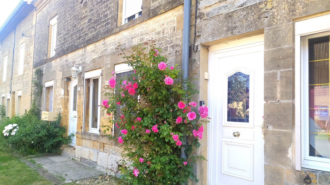 Photo of Outdoor in Mazerny