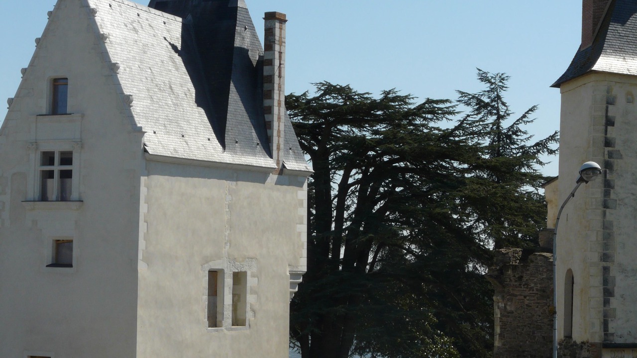 Photo of Outdoor in Ancenis