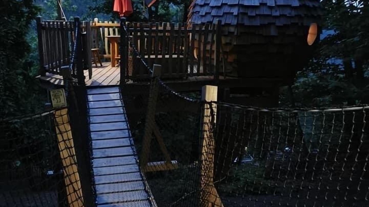 Photo of Outdoor in Belvedere